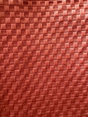 Schumacher Rust Barnet Cotton Fabric Panel / Sample